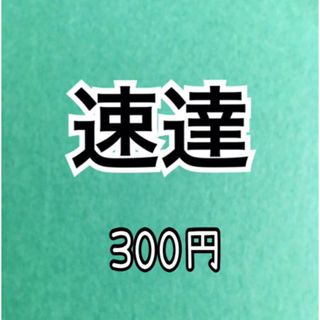 お急ぎの方専用(その他)