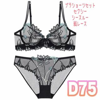 ブラジャー ショーツセット セクシー シースルー　ランジェリー　総レース　D75(ブラ&ショーツセット)