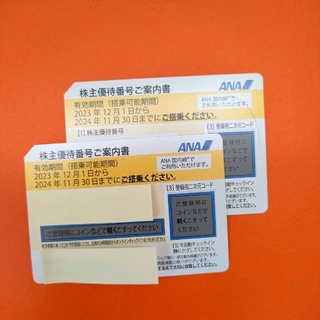 ANA(全日本空輸) - ANA 株主 優待券 2枚 ラクマパック