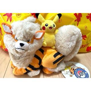 ポケモンセンター　沖縄　限定　ウィンディ　ピカチュウ　ぬいぐるみ　ポケモン(キャラクターグッズ)