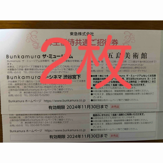 Bunkamura ザ・ミュージアム＆五島美術館 株主優待共通ご招待券２枚