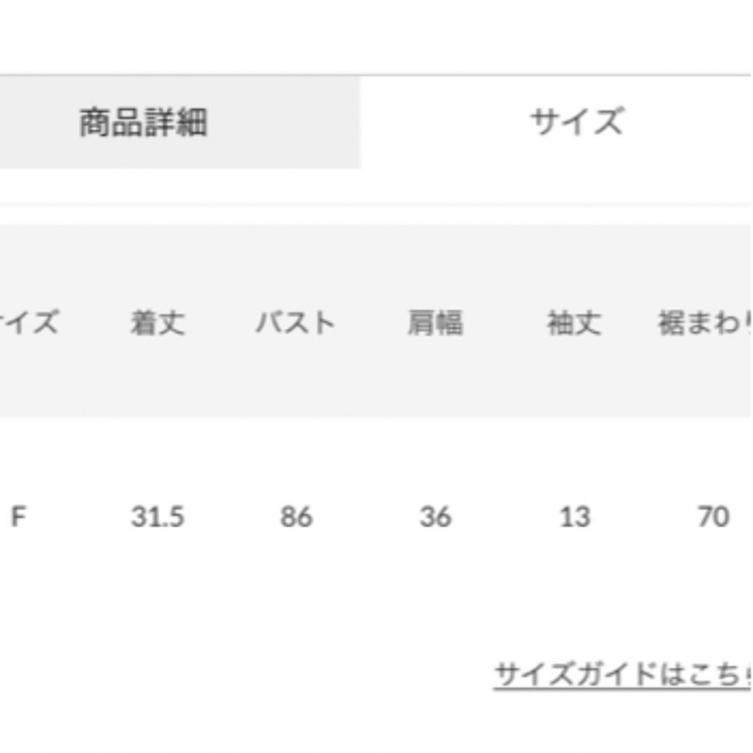 rienda(リエンダ)のrienda リエンダ フリルSLVチェックTOP ブラック ギンガムチェック レディースのトップス(シャツ/ブラウス(半袖/袖なし))の商品写真