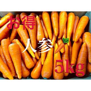 新鮮野菜の人参　5kgBOX 全国送料無料(野菜)