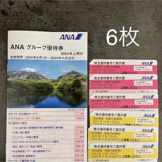 エーエヌエー(ゼンニッポンクウユ)(ANA(全日本空輸))のANA 株主優待 6枚(その他)