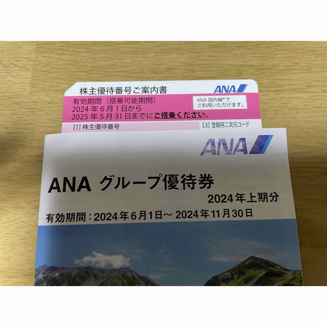 ANA(全日本空輸)(エーエヌエー(ゼンニッポンクウユ))のANA 株式優待 チケットの優待券/割引券(その他)の商品写真