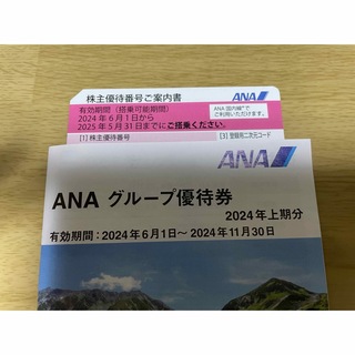 エーエヌエー(ゼンニッポンクウユ)(ANA(全日本空輸))のANA 株式優待券(その他)