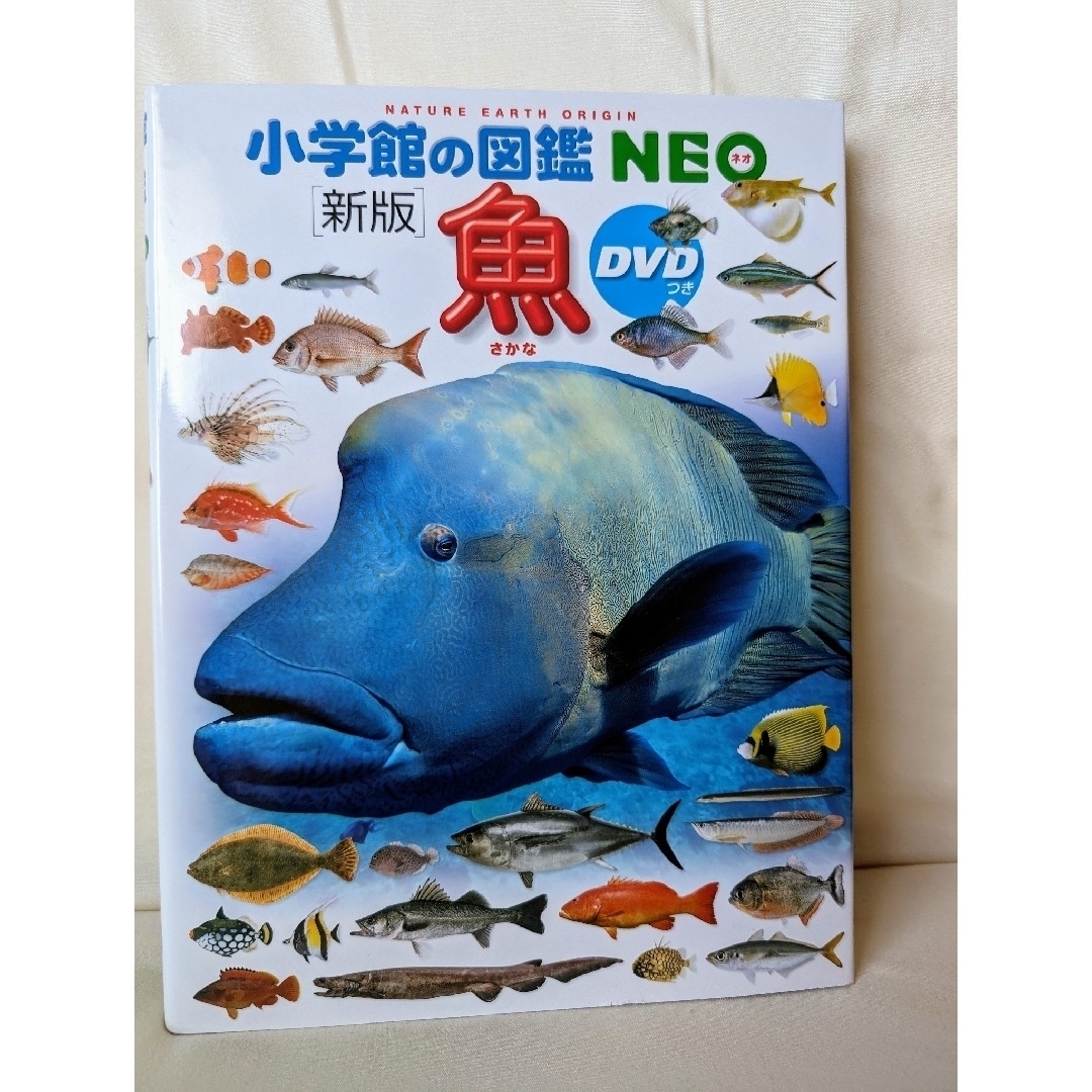 小学館の図鑑NEO　【魚】DVD付き エンタメ/ホビーの本(絵本/児童書)の商品写真