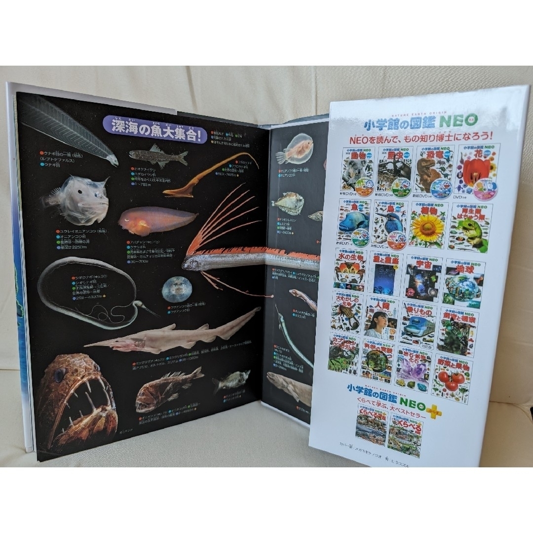 小学館の図鑑NEO　【魚】DVD付き エンタメ/ホビーの本(絵本/児童書)の商品写真