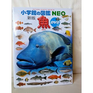 小学館の図鑑NEO　【魚】DVD付き