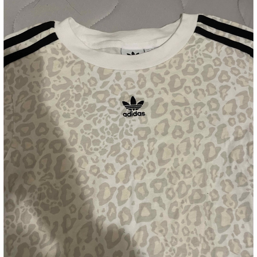 adidas(アディダス)のadidasクロップドTシャツ レディースのトップス(Tシャツ(半袖/袖なし))の商品写真