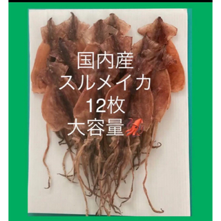 北海道産スルメイカ12枚セット おつまみ　珍味　あたりめ　するめいか　北海するめ(魚介)