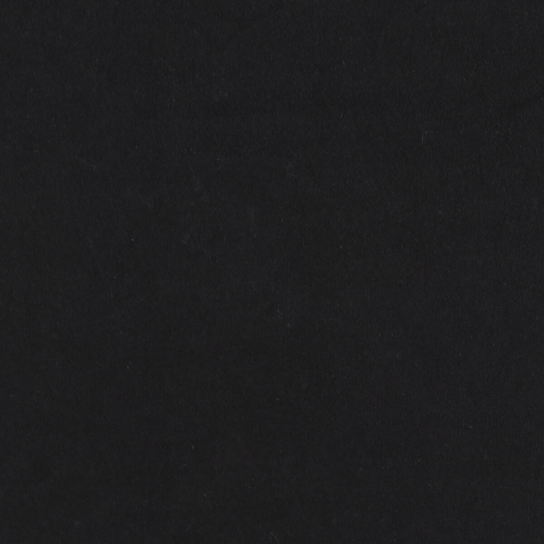 FRUIT OF THE LOOM(フルーツオブザルーム)の古着 90年代 フルーツオブザルーム FRUIT OF THE LOOM mardi gras new orleans ニューオーリンズマルディグラ プリントTシャツ USA製 メンズXL ヴィンテージ /eaa448521 メンズのトップス(Tシャツ/カットソー(半袖/袖なし))の商品写真