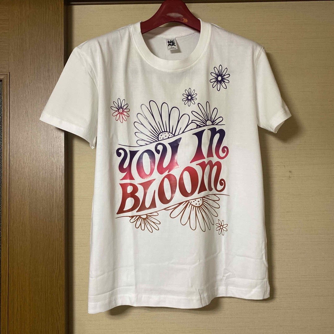 在庫処分シャツ　6月下旬迄値下げ レディースのトップス(Tシャツ(半袖/袖なし))の商品写真
