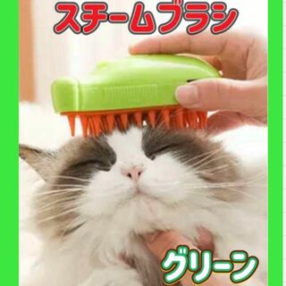 キャット スチームブラシ  グリーン　USB充電 マッサージ 犬 猫用(猫)