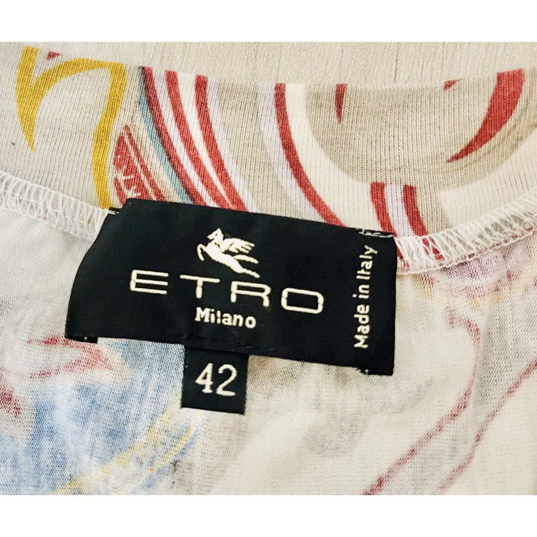 ETRO(エトロ)のETRO MILANO Made in ITALY エトロ　ミラノ　カットソー レディースのトップス(カットソー(長袖/七分))の商品写真