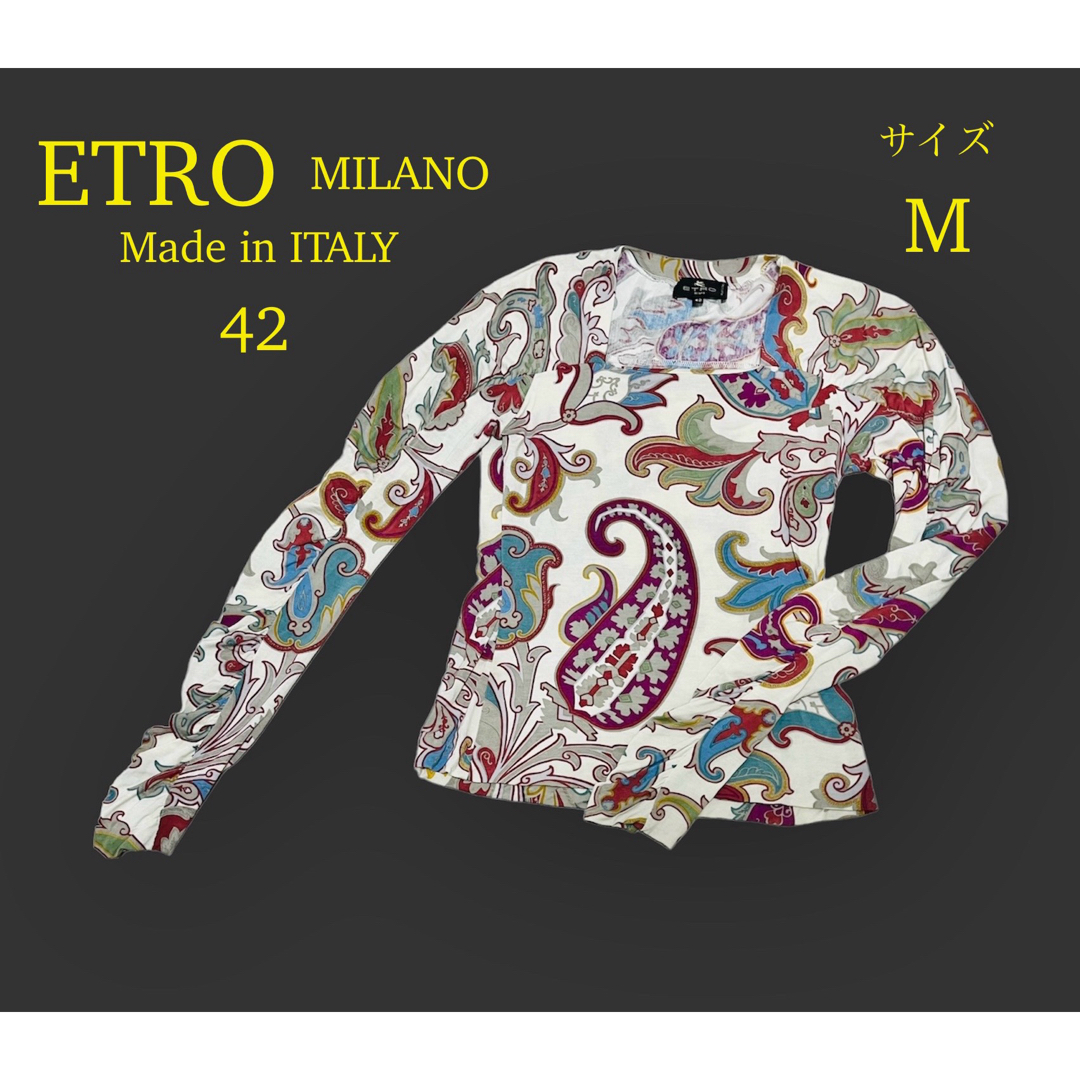 ETRO(エトロ)のETRO MILANO Made in ITALY エトロ　ミラノ　カットソー レディースのトップス(カットソー(長袖/七分))の商品写真