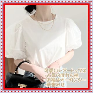 ☆華奢みせ　ぽわん袖　パフスリーブ　トップス　オーガンジー　ホワイト　オルチャン(シャツ/ブラウス(半袖/袖なし))