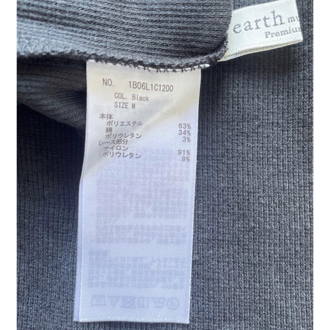 ⭐︎earth⭐︎ レース　タートルネック　トップス レディースのトップス(Tシャツ(半袖/袖なし))の商品写真