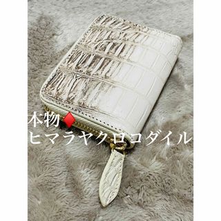 希少 本物 新品 最高級 ヒマラヤクロコダイル ワニ革 小銭入れ コインケース(財布)