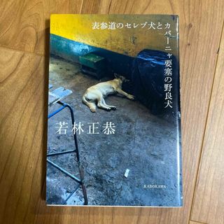 表参道のセレブ犬とカバーニャ要塞の野良犬(その他)