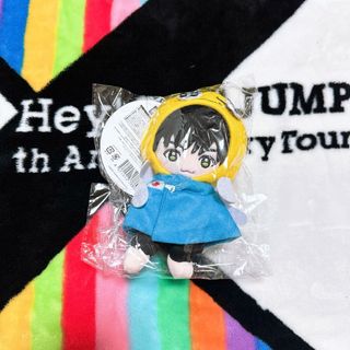 ヘイセイジャンプ(Hey! Say! JUMP)の薮宏太 15th Anniversary ぬいぐるみ(アイドルグッズ)