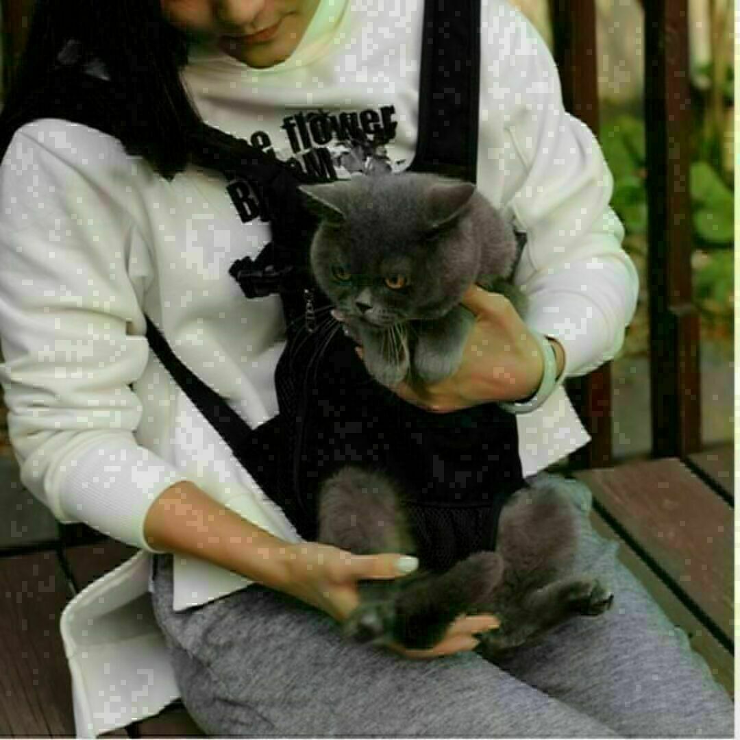 ペット 抱っこひも 犬 猫 抱っこ紐 スリング リュック ブルー Mサイズ その他のペット用品(猫)の商品写真