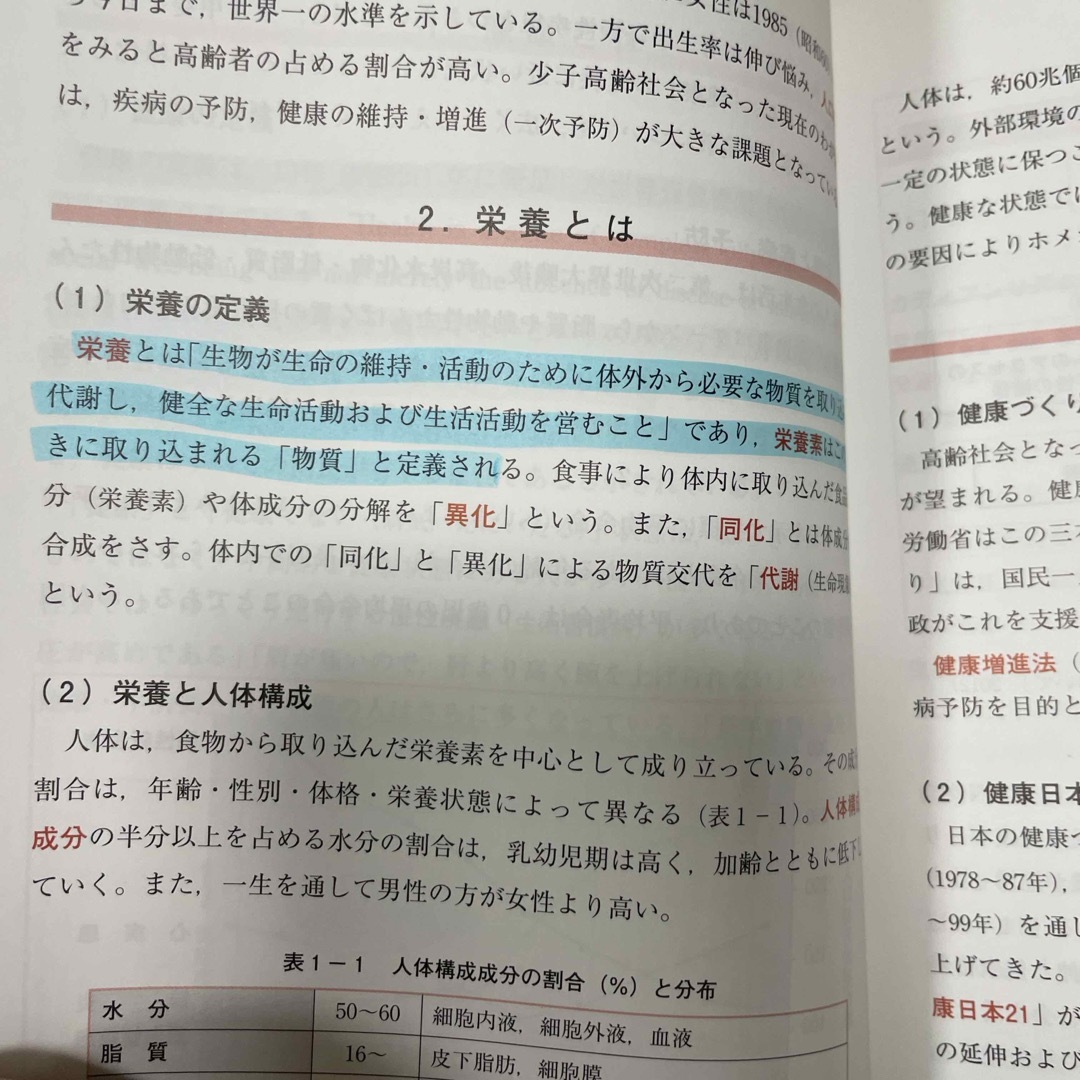 栄養と健康 エンタメ/ホビーの本(科学/技術)の商品写真