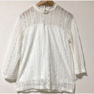 重ね着に最適◎ プチフリルネックの贅沢総レースカットソー　八分袖くらい(Tシャツ/カットソー(七分/長袖))