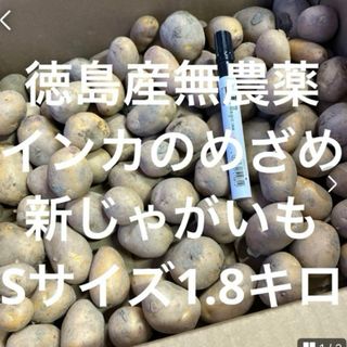 掘り立て‼️徳島産無農薬　インカのめざめ　新じゃがいも　1.8キロ