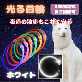 光る 首輪 ホワイト LEDライト USB充電 犬 ドッグ おしゃれ 夜の散歩(犬)