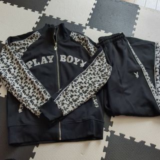 PLAYBOY セットアップ