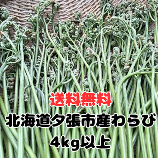 北海道産わらび　4ｋｇ以上(野菜)