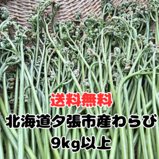 北海道産わらび　9ｋｇ以上(野菜)