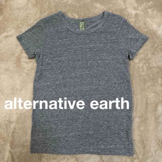 alternative earth  オルタナティブ　Tシャツ　S  グレー(Tシャツ(半袖/袖なし))