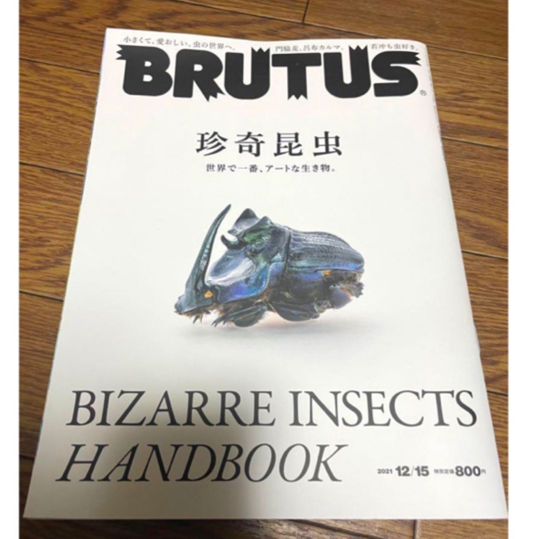 ブルータス　BRUTUS  No.952 珍奇昆虫 エンタメ/ホビーの本(文学/小説)の商品写真