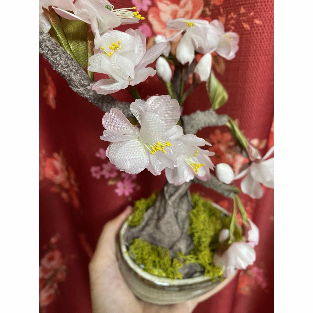 まるで本物のような桜🌸名古屋社長からの頂き物　神社の宮司さんから頂いた吉祥桜 その他のその他(その他)の商品写真