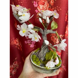 まるで本物のような桜🌸名古屋社長からの頂き物　神社の宮司さんから頂いた吉祥桜(その他)