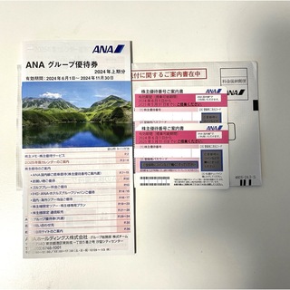 ANA(全日本空輸) - NAN株主優待券