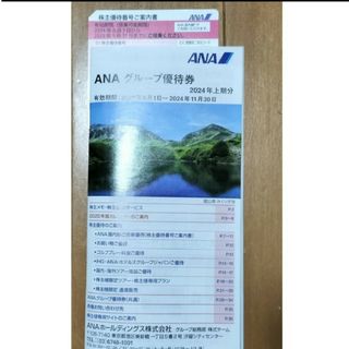 ANA 優待券(航空券)