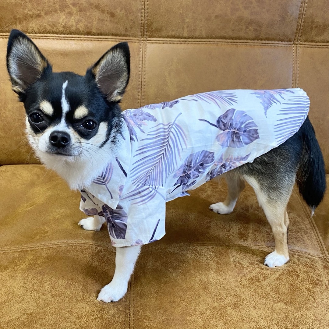 新品 S アロハ シャツ （紫） 犬服 猫服 犬の服 ペット用品 小型犬 夏 その他のペット用品(犬)の商品写真