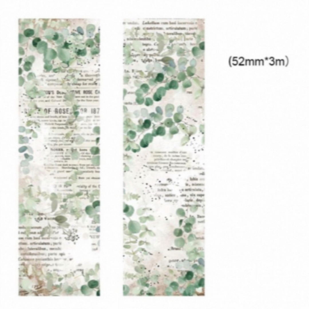 植物　グリーン　葉　ヴィンテージ　マスキングテープ　5.2cm幅 インテリア/住まい/日用品の文房具(テープ/マスキングテープ)の商品写真