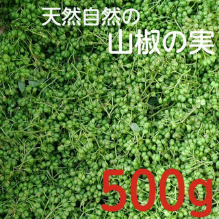 山椒の実500g♡兵庫県丹波市の山で取れた 天然自然の山椒の実(その他)