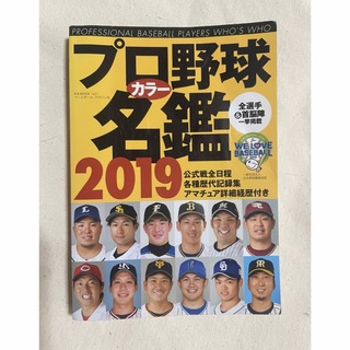 プロ野球カラー名鑑(趣味/スポーツ/実用)