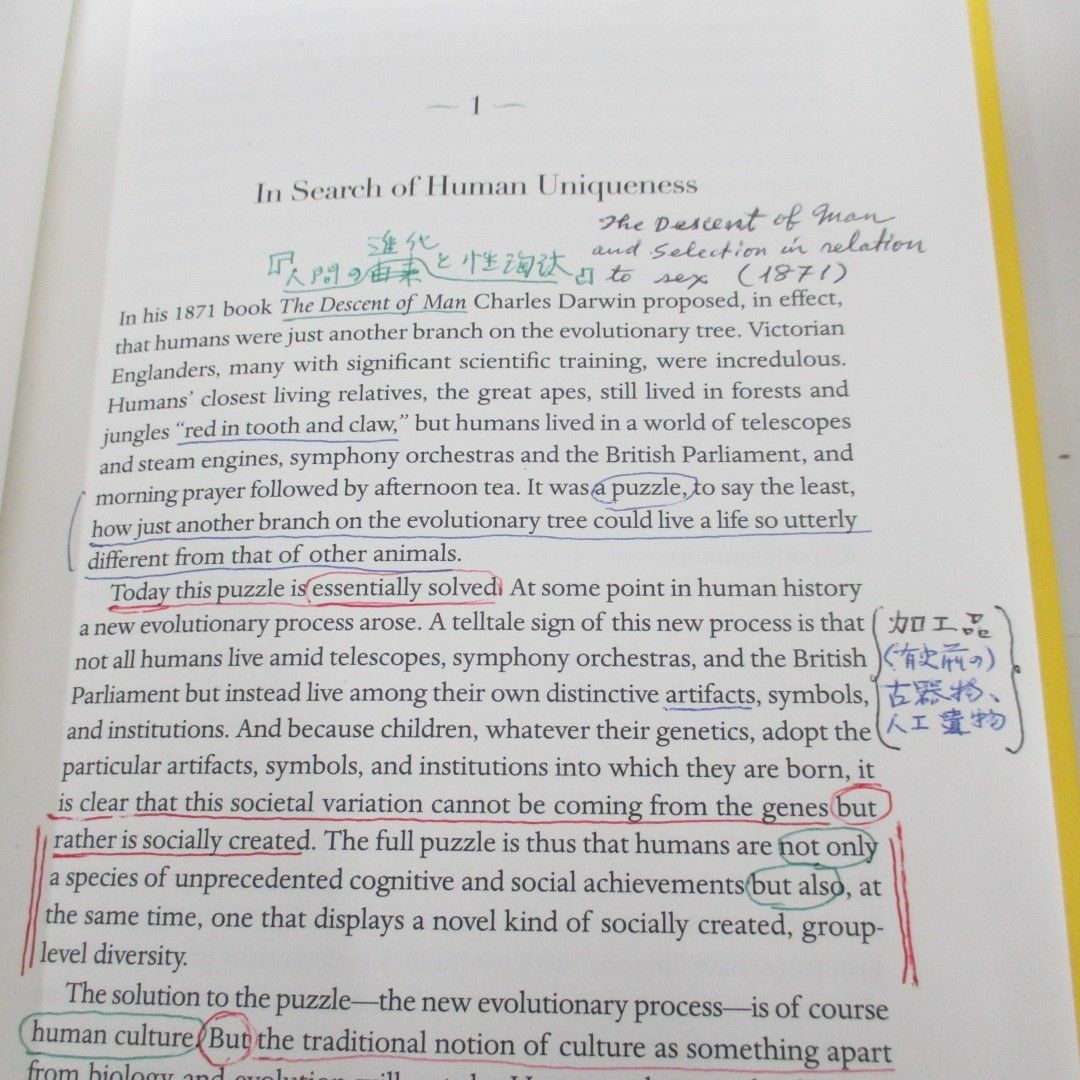 ▲01)【同梱不可】Becoming Human/A Theory of Ontogeny/人間になる 個体発生の理論/マイケル・トマセロ/洋書/A エンタメ/ホビーの本(人文/社会)の商品写真