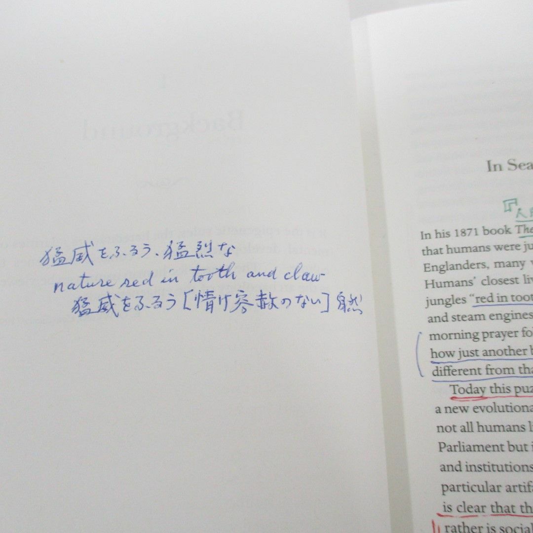 ▲01)【同梱不可】Becoming Human/A Theory of Ontogeny/人間になる 個体発生の理論/マイケル・トマセロ/洋書/A エンタメ/ホビーの本(人文/社会)の商品写真