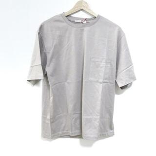 DRESSTERIOR - DRESSTERIOR(ドレステリア) 半袖Tシャツ サイズS レディース美品  - グレーベージュ クルーネック