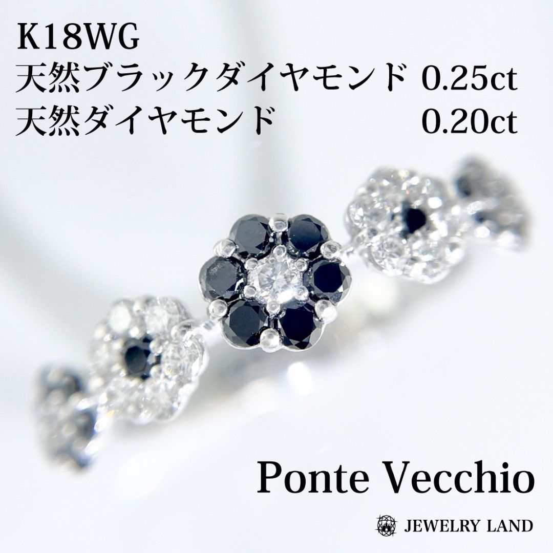 【ポンテヴェキオ】K18wg ブラックダイヤ 0.25ct ダイヤ 0.20ct レディースのアクセサリー(リング(指輪))の商品写真