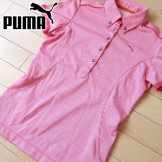 プーマ(PUMA)の美品 M プーマゴルフ PUMA レディース 半袖ポロシャツ 赤(ウエア)