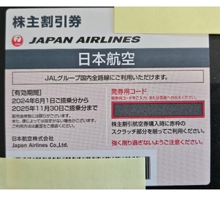 JAL株主優待券☆(航空券)