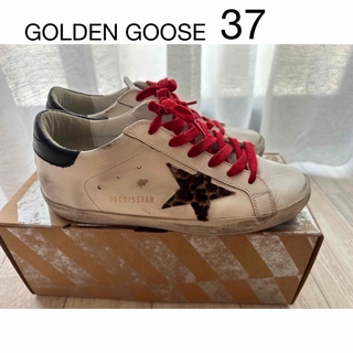 ゴールデングース(GOLDEN GOOSE)のGOLDEN GOOSE / ゴールデングース 37(スニーカー)